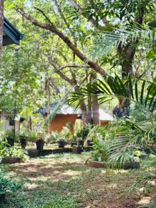 Shena resort