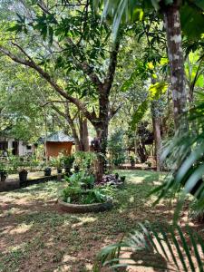 Shena resort