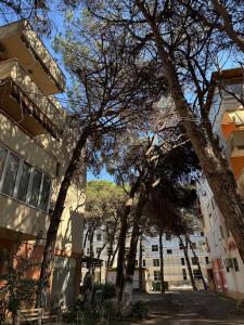 SeaSide Royal Apartment