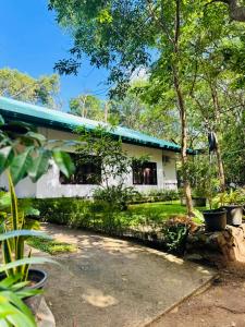 Shena resort