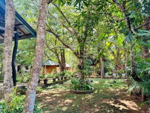 Shena resort