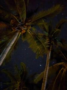 DANG dang Balbago Beach-Private Remote Island Escape