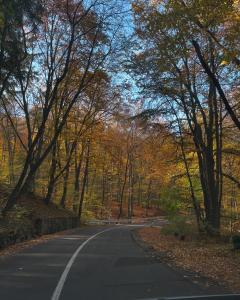 Cozy apartment Kosmaj Residence
