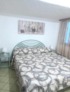 San Teodoro - Paradisiacal Beaches and Services