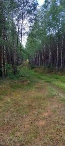 Radogoszcz- Pokoje nad jeziorem