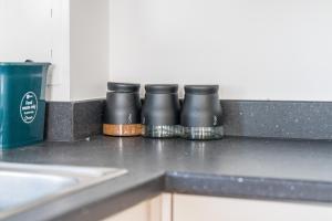 Luxury Penthouse Wembley Stadium Sleeps 10 and Parking