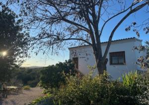 Vila Girasoles