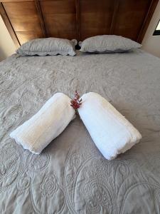 Black Panthers House