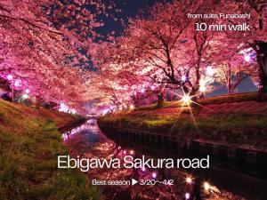 suite Funabashi SAKURA1 #102