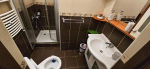 Vila Alexandra - Prime accomodation - Pumo Properties