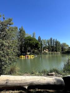 Petit cocon sur Arles