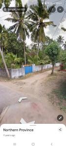 Bird Nest Homestay