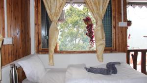Spring Homestay