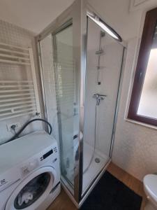 Ai Tulipani da Maila