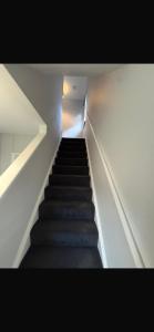 Beautiful modern self-contained house