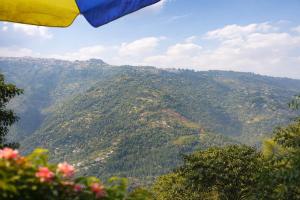 Spring Homestay