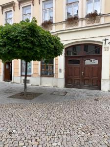 Tamás Apartman - Panorámás, tágas lakás a történelmi belvárosban kilátással a Virágórára