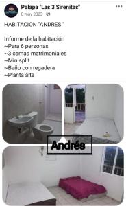 Palapa las 3 sirenitas