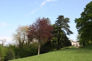 Maisons de vacances Aux Grilles Du Chateau : photos des chambres