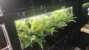 Skanderbeg Square M Apartments, City Center, Tirana