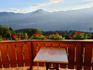 Eichernhof Apartment Kirschblüte