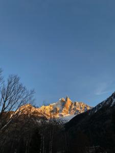 Superbe T3- Vue Mont-Blanc- Au pied du Brévent- Chamonix