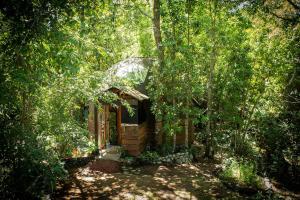 Domo en Villarrica - Refugio Sureño