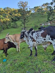 Chalé seriema 04 sitio passaropreto