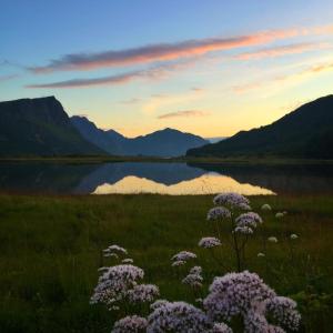 Cozy older house in the middle of Lofoten