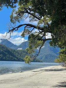 Cabaña en selva patagónica, cerca del pueblo