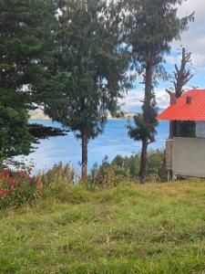 Munay Tota Signature