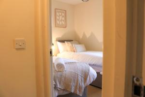 Modern Comfort 1BR Home for 3 Free Parking