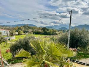 Il Glicine di Pelau - Country House