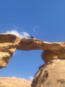 Suleman Bedouin Life Camp