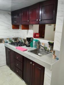 Remodelado apartamento con balcon a 50 mts de playa principal