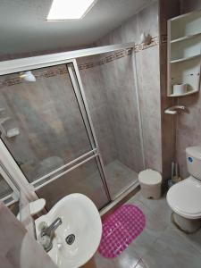 Remodelado apartamento con balcon a 50 mts de playa principal