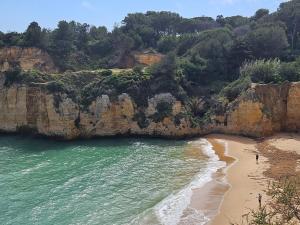 Ocean View in Algarve