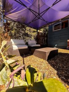 Vintage Surf Van Puertecillo