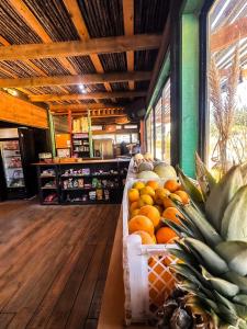 Vintage Surf Van Puertecillo