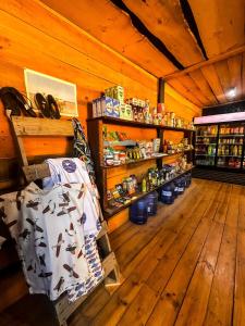 Vintage Surf Van Puertecillo