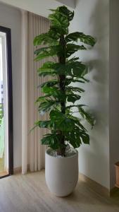 Modern Smart Home with Office, Pool, Gym and Fast WiFi - 10 min to Airport