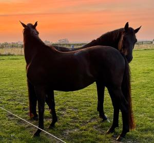 Ferienwohnung Lindert