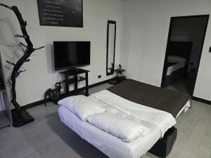 Pipes House- Cóndor Andino