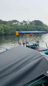 Nethu Boat Safari - Koggala