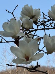 Urban Cozy Stay -Hongdae, Seoul