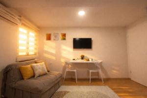Veluxa Studio for 3 Free Parking BBQ Gazeb