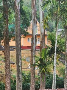 Bloomy villa