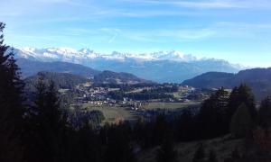 Appartements Les Terrasses du Mont blanc : photos des chambres