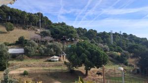 Terrazas del Mar, Poniente