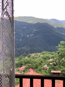 ΤΟ ΑΡΧΟΝΤΙΚΟ